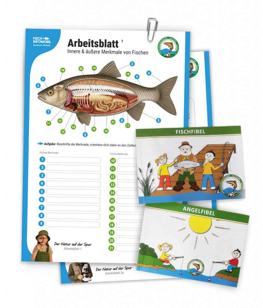 Arbeitsblätter Fischkunde