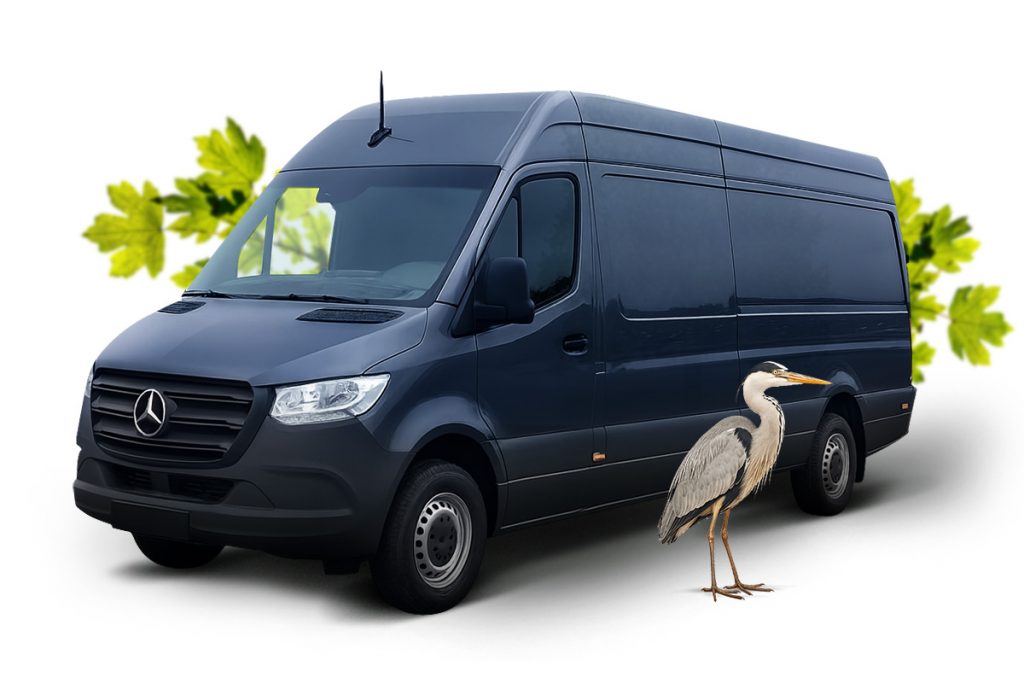 Fischinfomobil Sachsen Anhalt