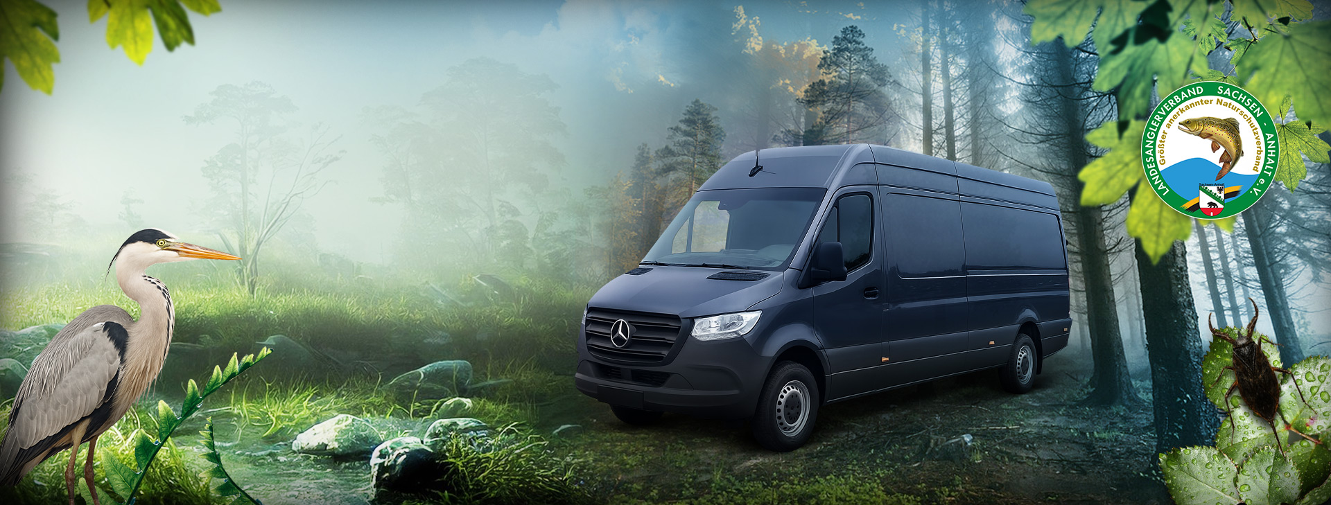 Fischinfomobil Sachsen Anhalt