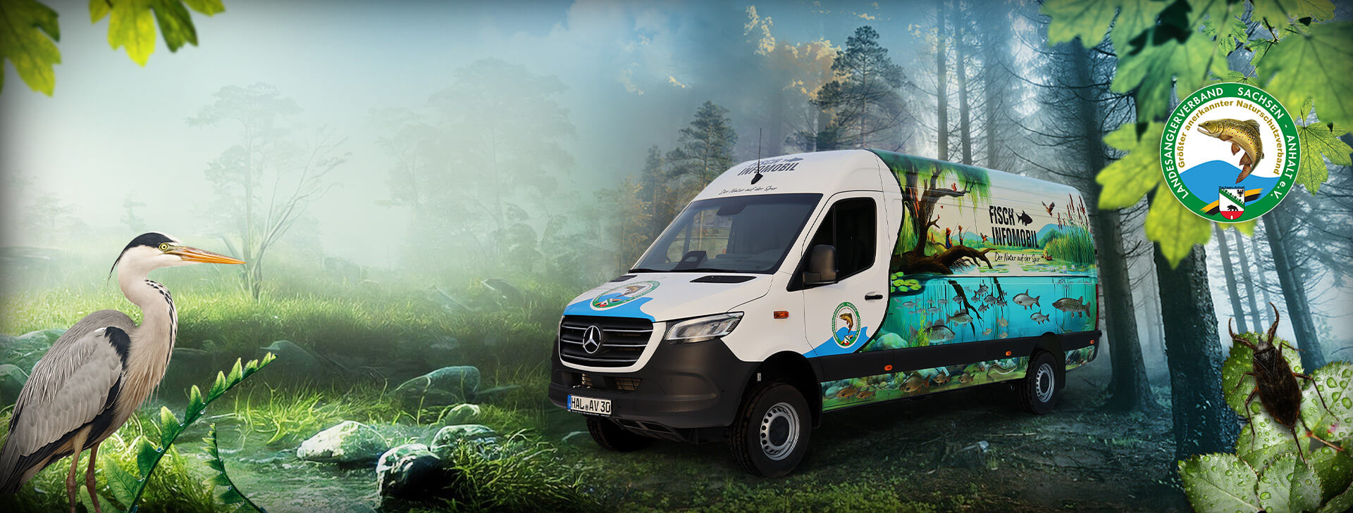 Fischinfomobil Sachsen Anhalt